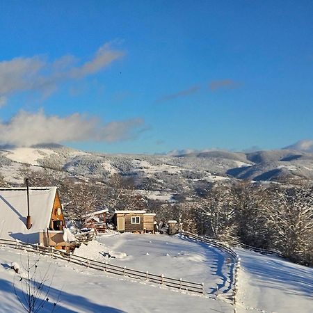 Cabana Lupul Din Apuseni Matisesti Buitenkant foto