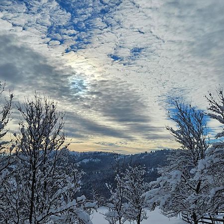 Cabana Lupul Din Apuseni Matisesti Buitenkant foto