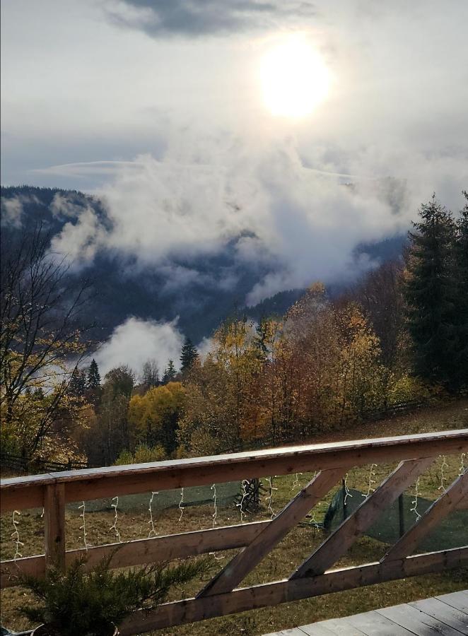 Cabana Lupul Din Apuseni Matisesti Buitenkant foto