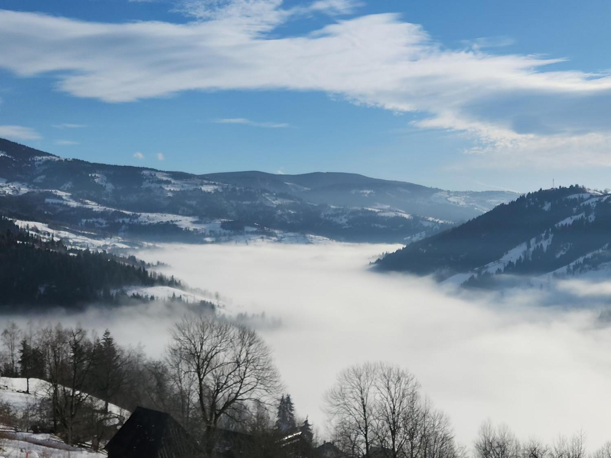 Cabana Lupul Din Apuseni Matisesti Buitenkant foto