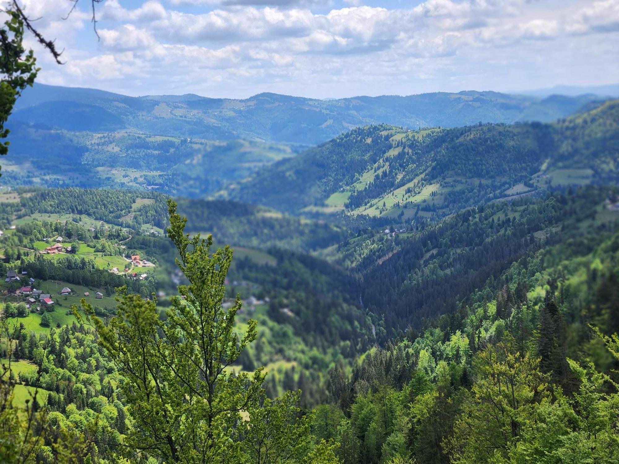 Cabana Lupul Din Apuseni Matisesti Buitenkant foto