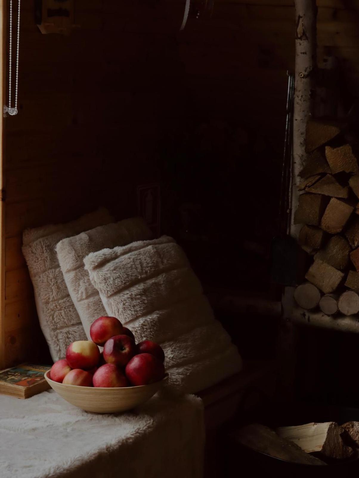 Cabana Lupul Din Apuseni Matisesti Buitenkant foto