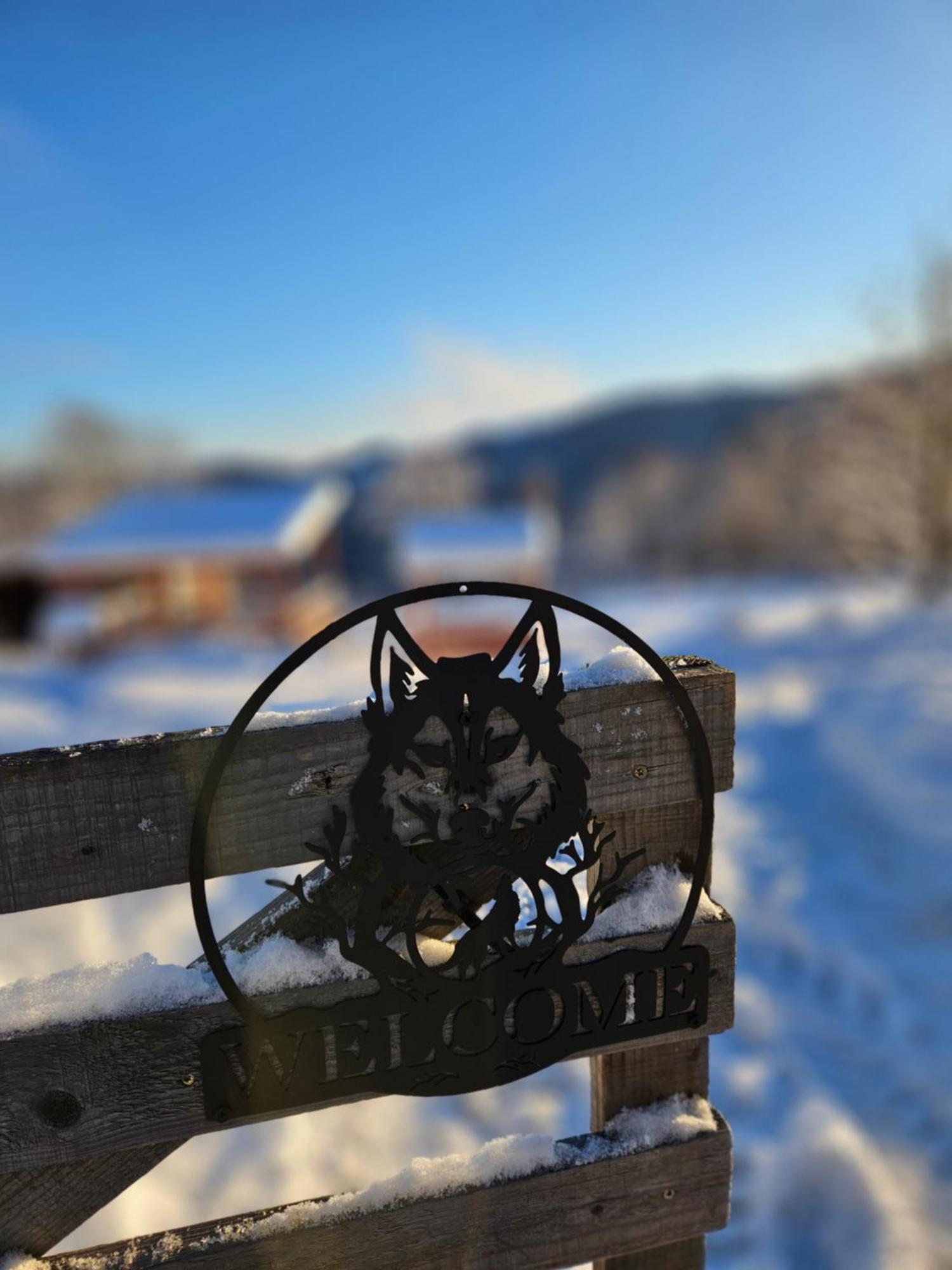 Cabana Lupul Din Apuseni Matisesti Buitenkant foto